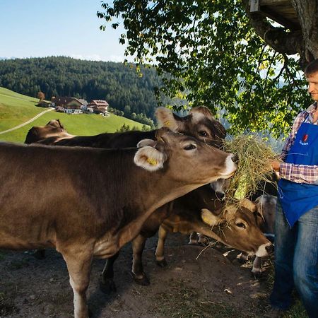 Mair am Graben Farm * Chalets Terento Dış mekan fotoğraf