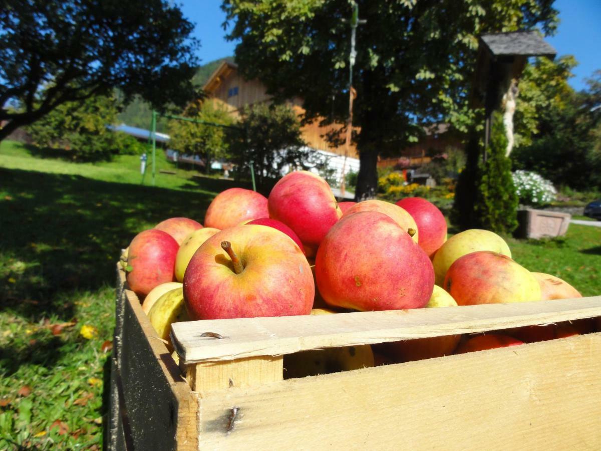 Mair am Graben Farm * Chalets Terento Dış mekan fotoğraf