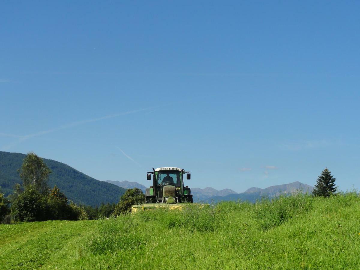 Mair am Graben Farm * Chalets Terento Dış mekan fotoğraf